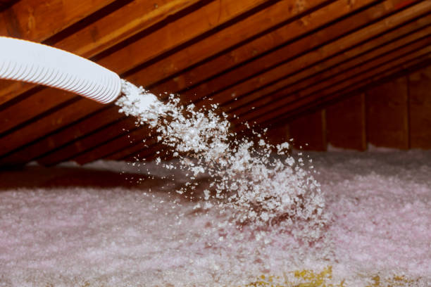 Best Best Insulation Companies  in Palmyra, MO