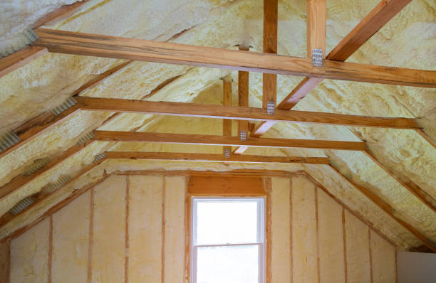 Best Crawl Space Insulation  in Palmyra, MO