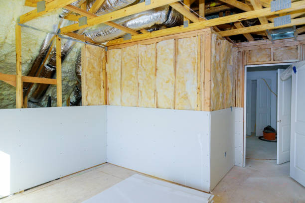 Best Insulation Inspection Services  in Palmyra, MO