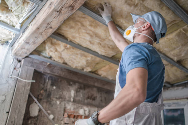 Best Insulation Removal  in Palmyra, MO