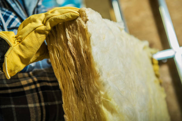 Best Residential Insulation Services  in Palmyra, MO