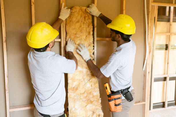 Best Insulation Removal Services  in Palmyra, MO