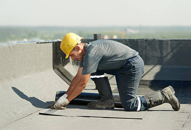 Best Insulation Replacement Services  in Palmyra, MO