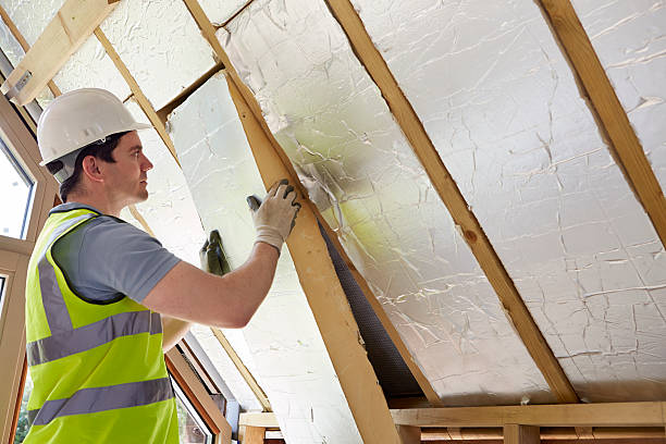 Best Soundproof Insulation Installation  in Palmyra, MO